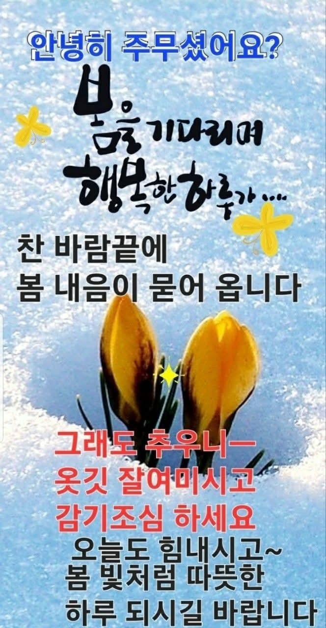 정*기 이미지