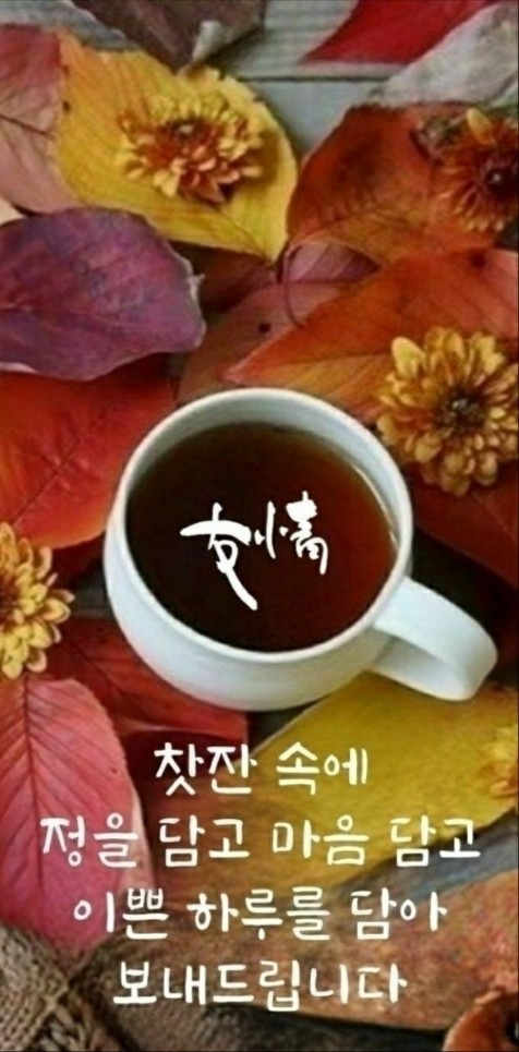 세상이야기 이미지
