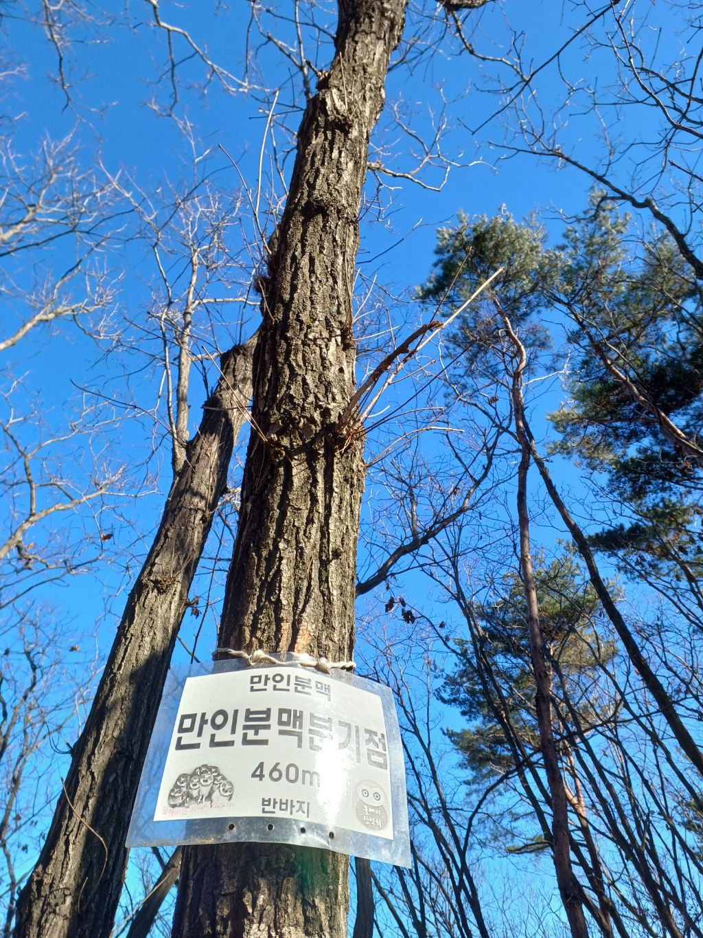 만인산 이미지