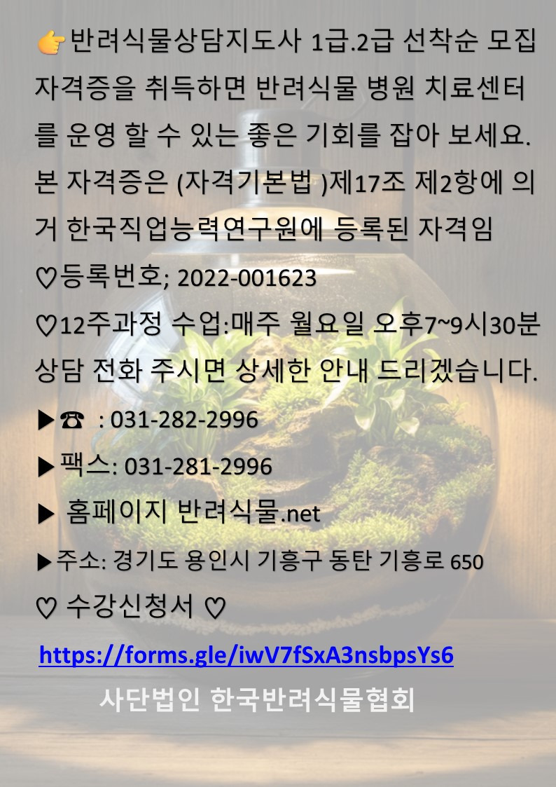 한국직업상담협회 이미지