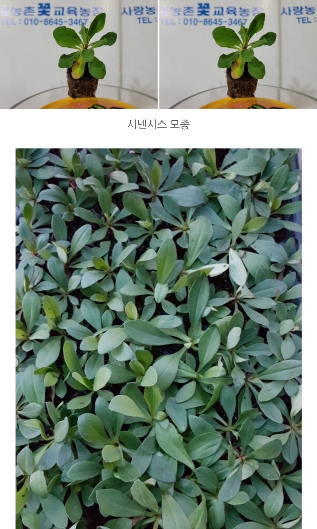 (주)오션블루 이미지