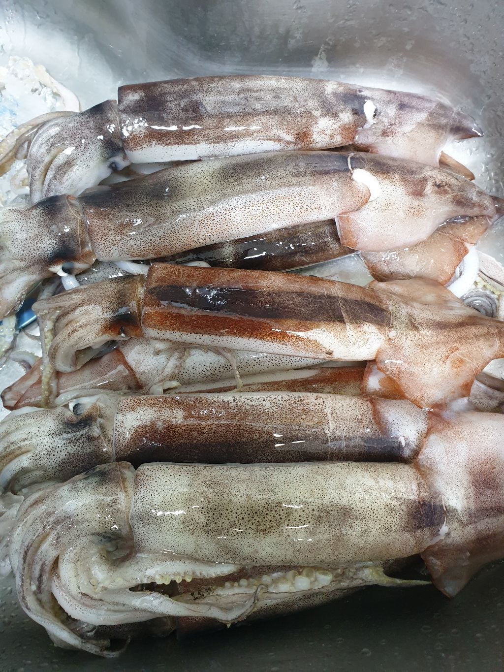 올바른수산 이미지