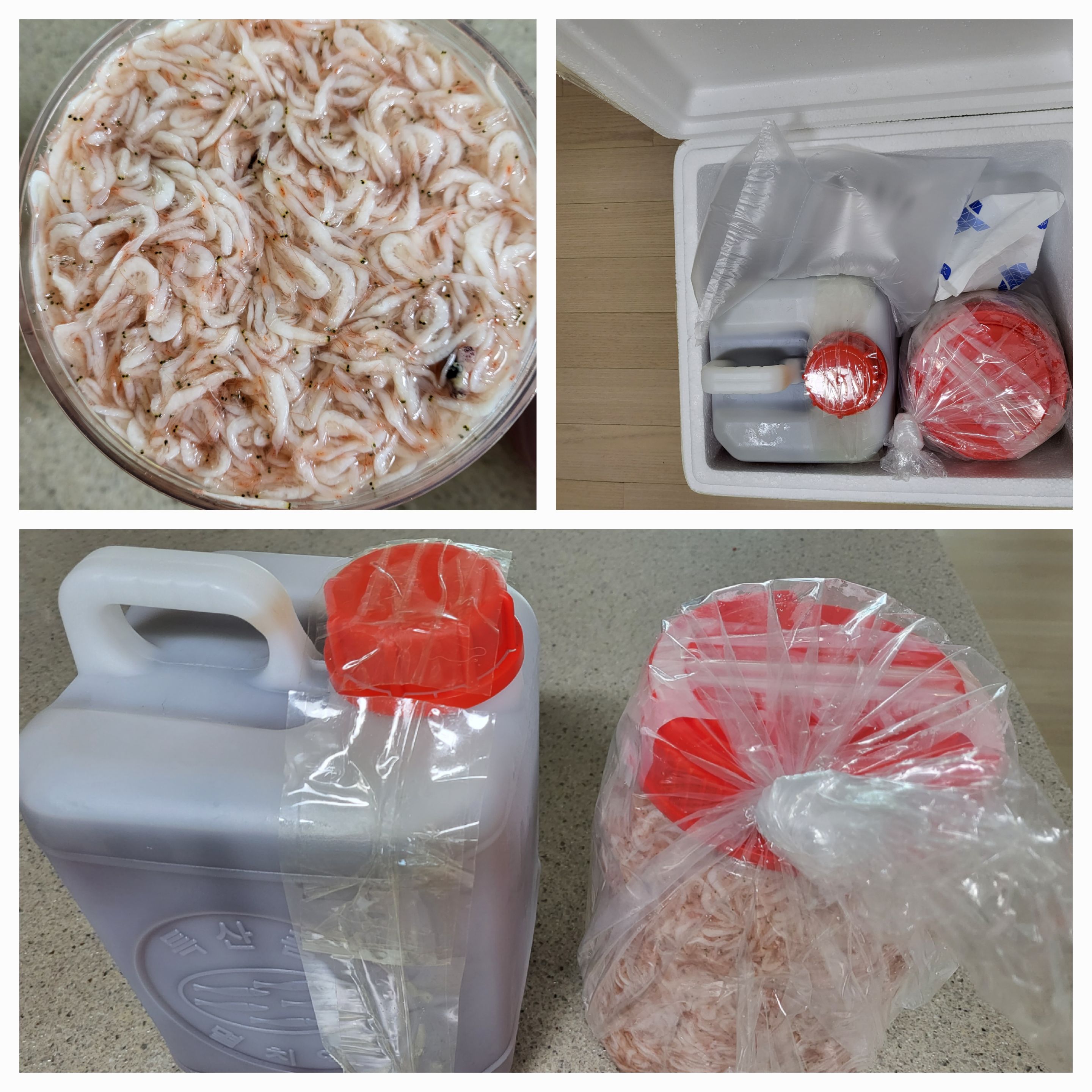 올바른수산 이미지