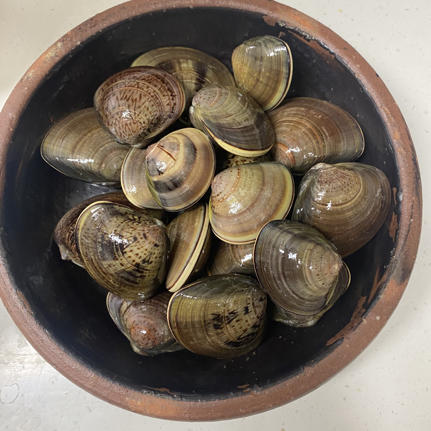 백합 이미지