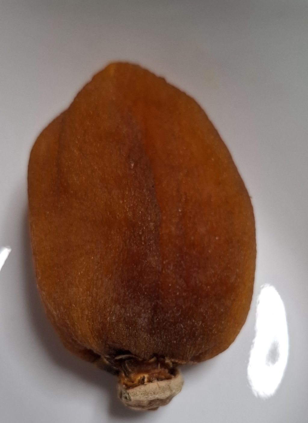진실농원 이미지