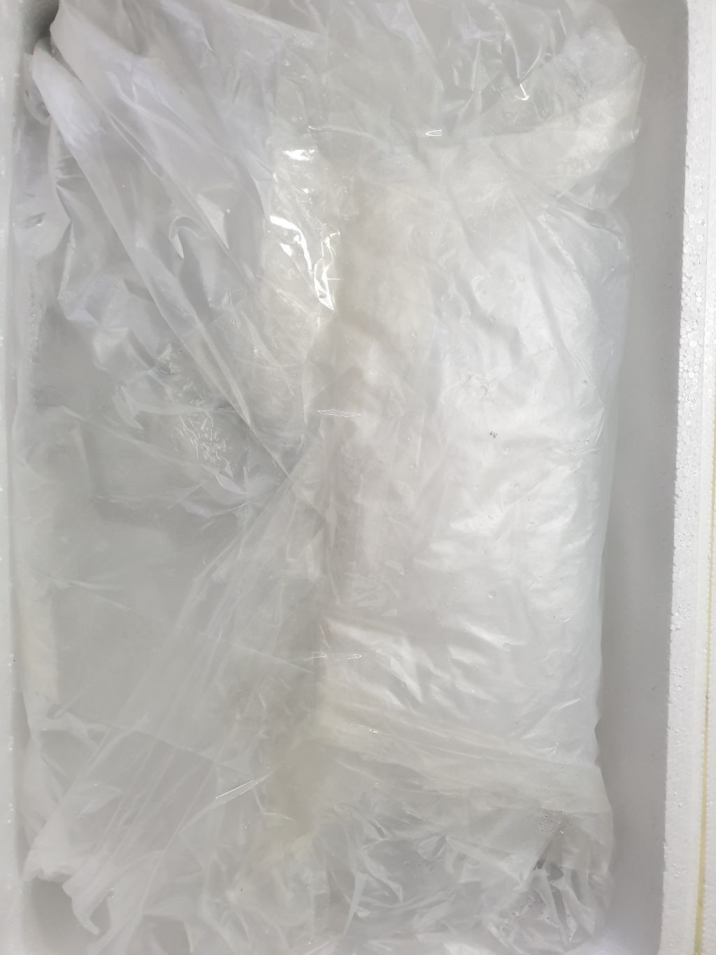 올바른수산 이미지