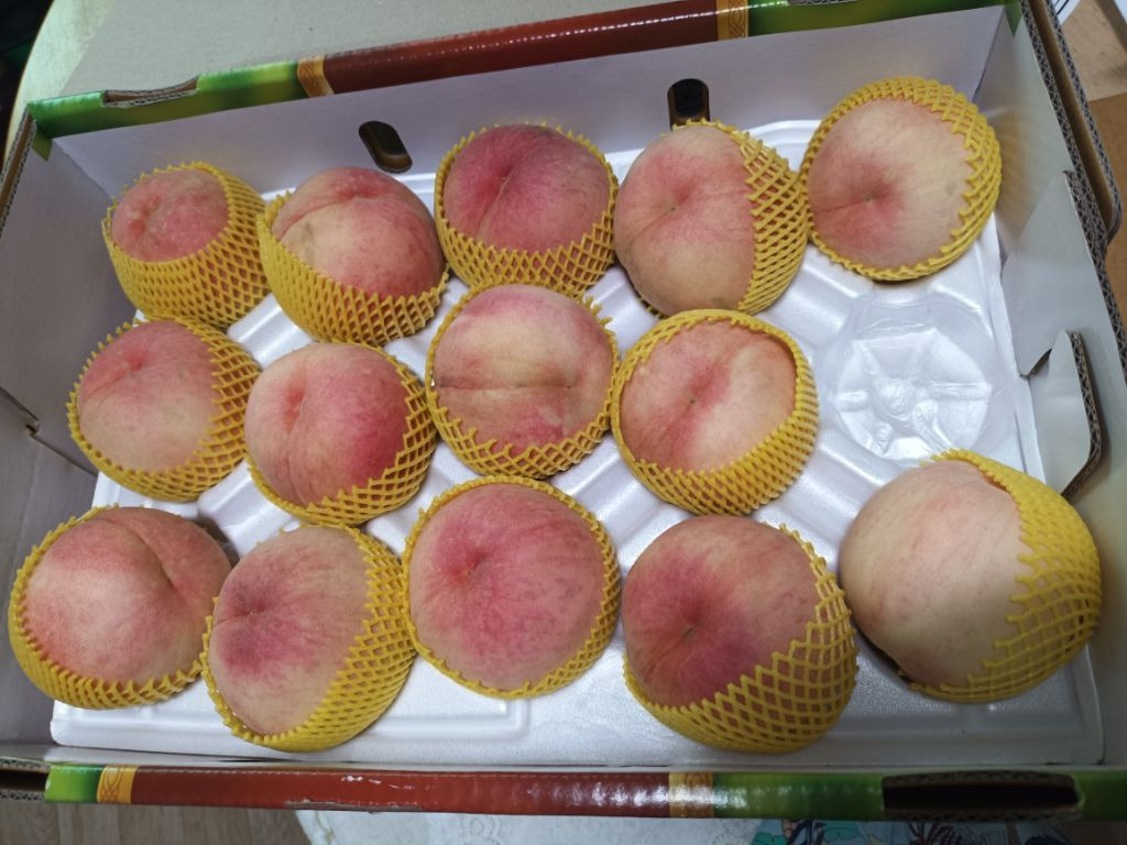 진실농원 이미지