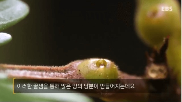 자연이야기 이미지
