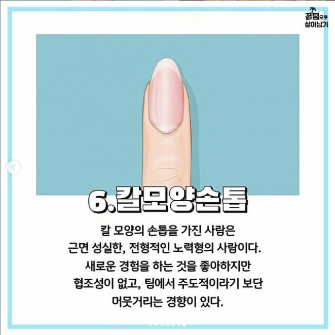 손톱모양 이미지