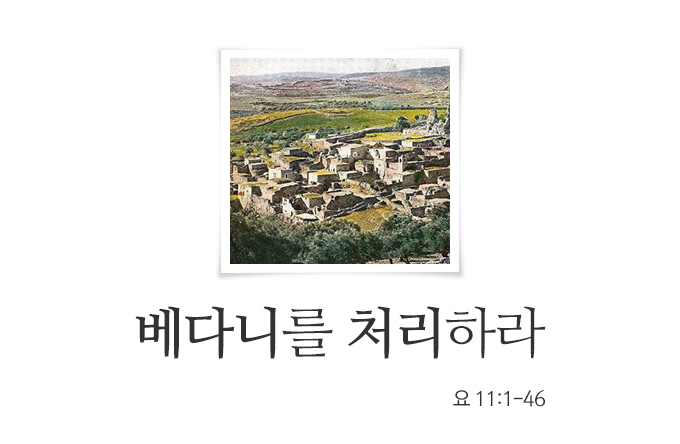 베다니 이미지