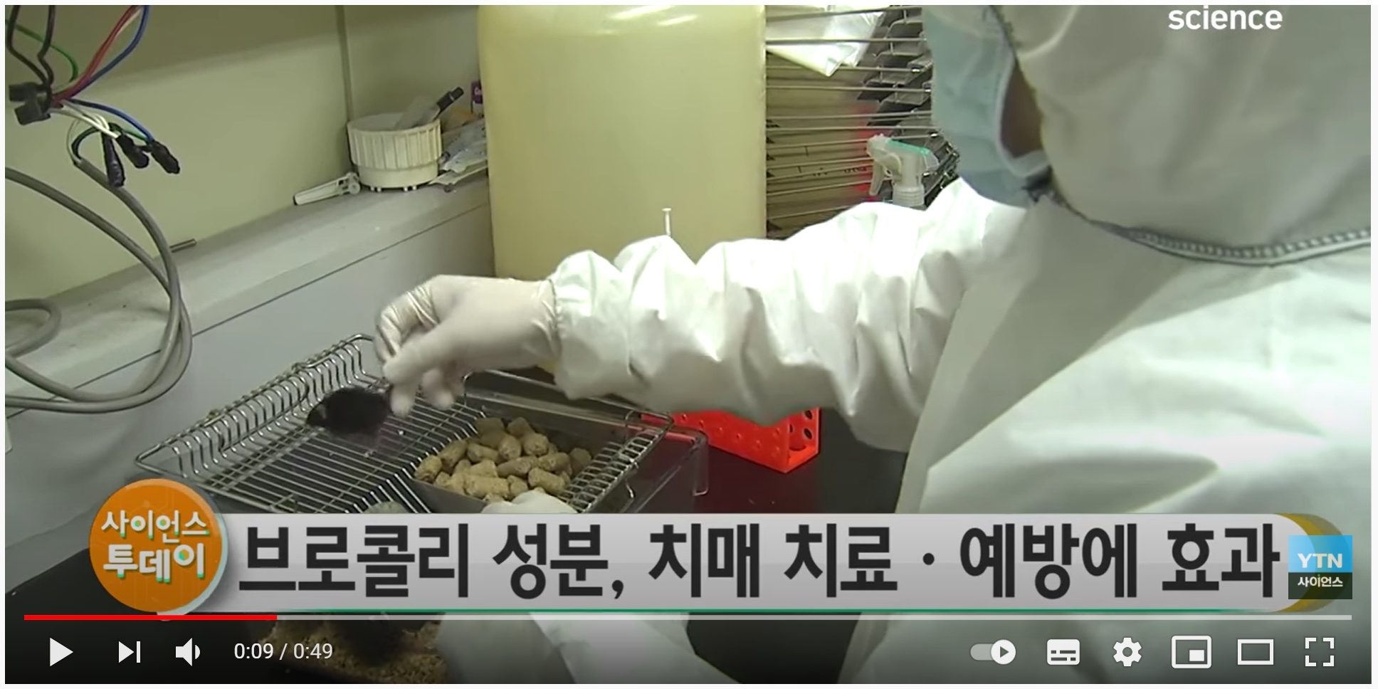 설포라바이오 이미지
