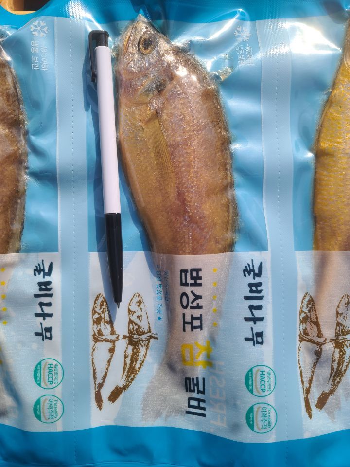 영광팩 이미지