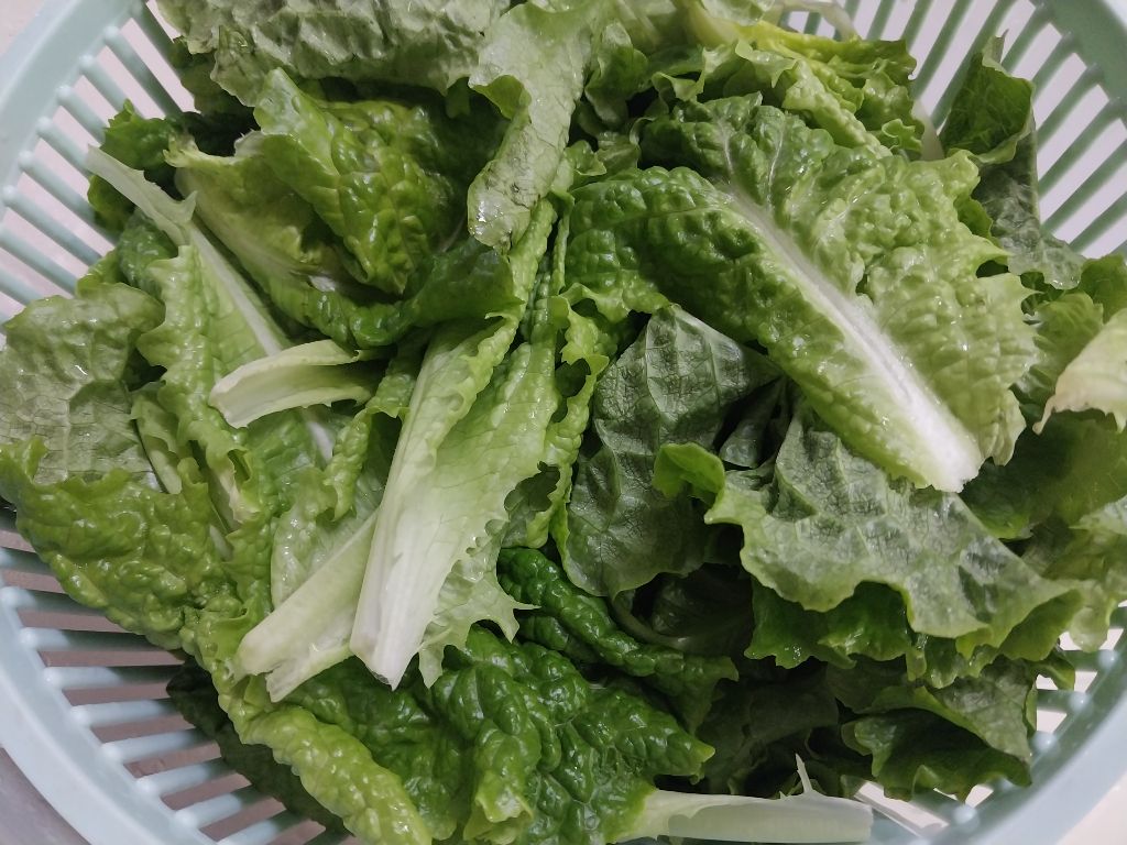아침으로 가볍게 먹은 상큼 아삭한 상추,과일 샐러드 - 솜씨 요리방 - 부치미네참살이 아침으로 가볍게 먹은 상큼 아삭한 상추,과일 샐러드