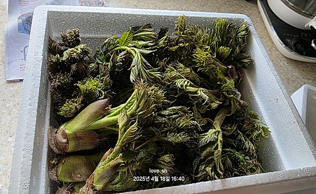 지리산농원 이미지
