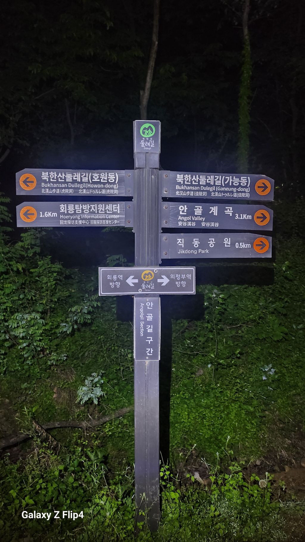 다연 이미지