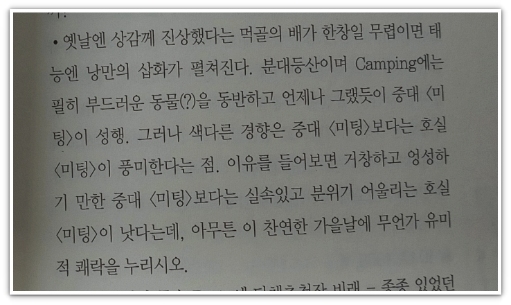 청춘이야기 이미지