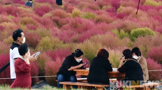 양주농원 이미지