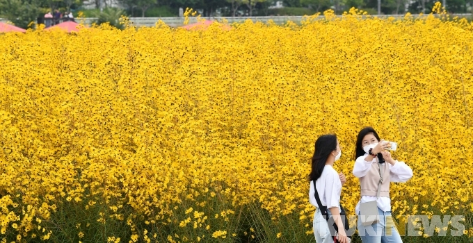양주농원 이미지