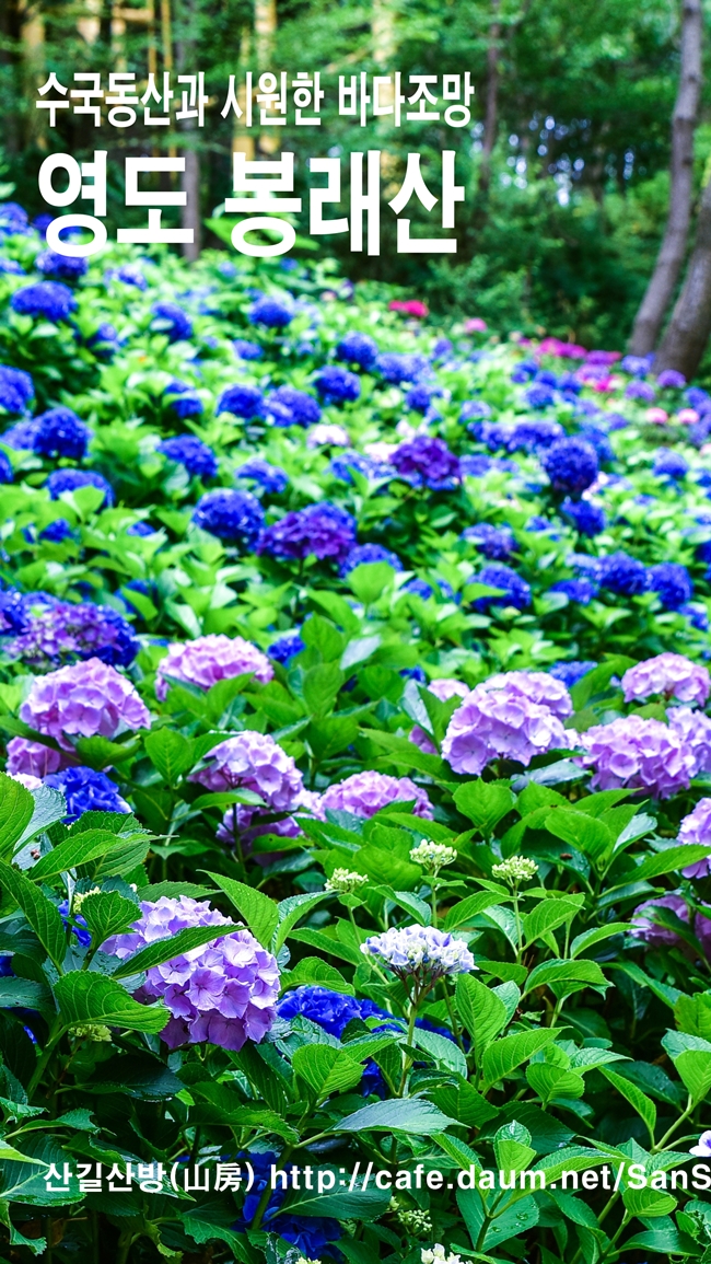 조내기고구마(주) 이미지