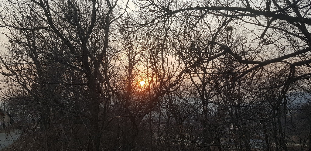 소운 이미지