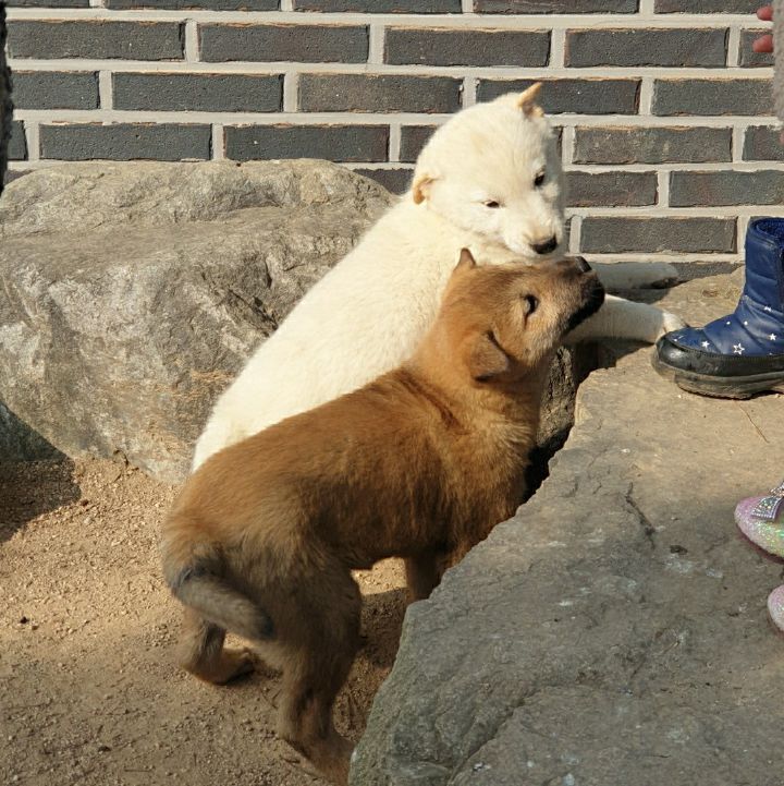 단단이네 이미지