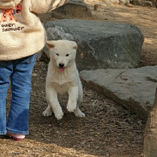 단단이네 이미지