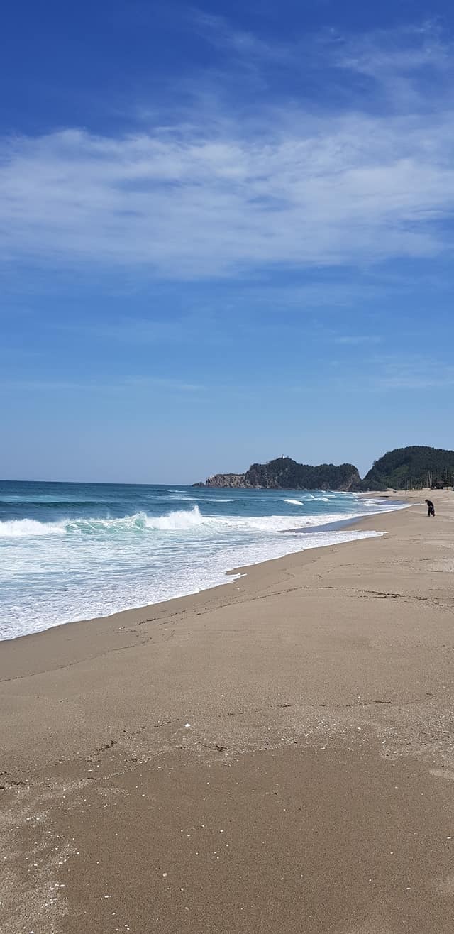 오늘 이미지