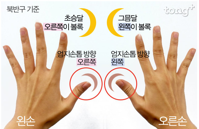 염소자리 이미지