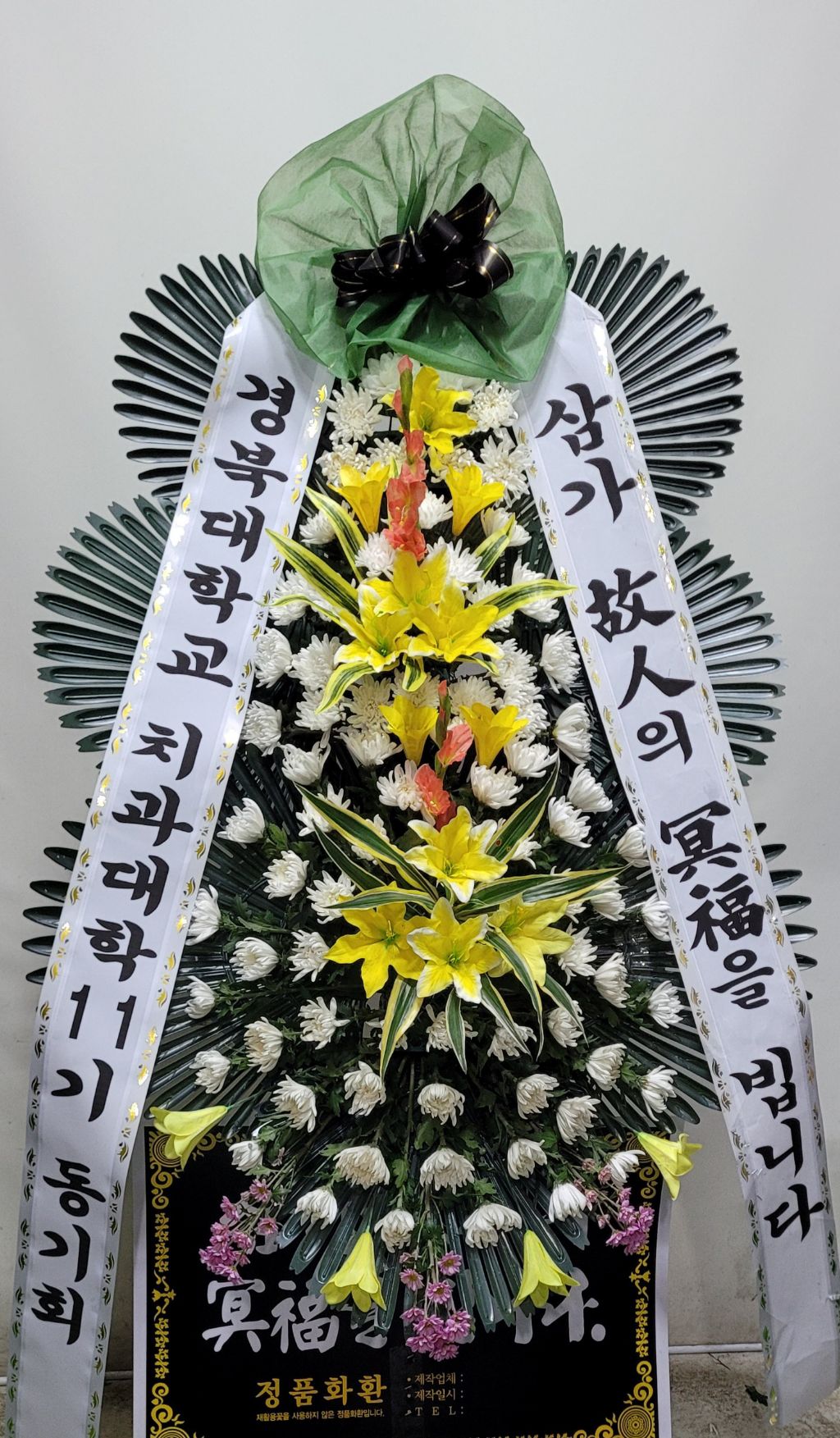 경북대학교 치과대학 이미지