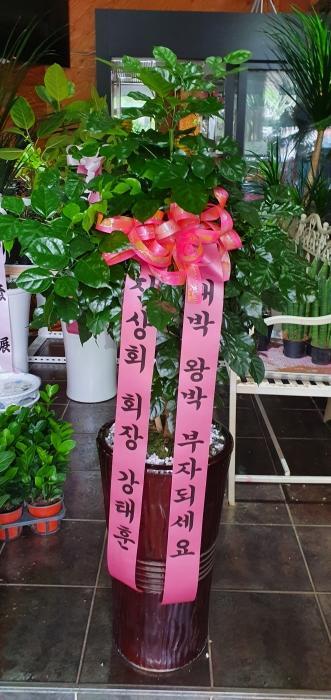 진상회 이미지