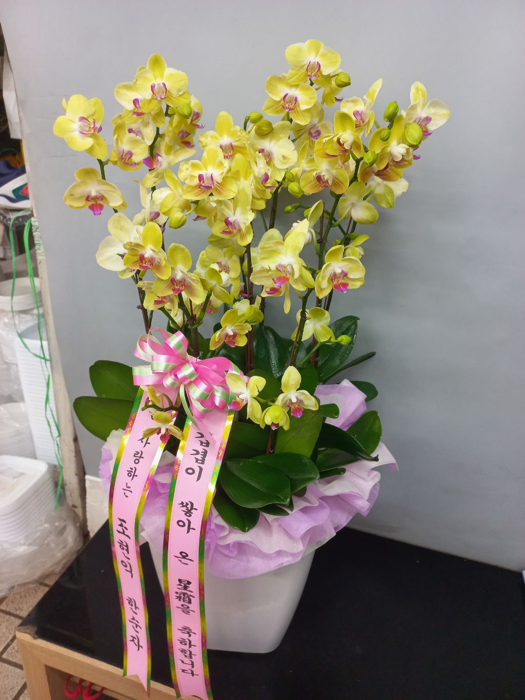 흥국운수 이미지