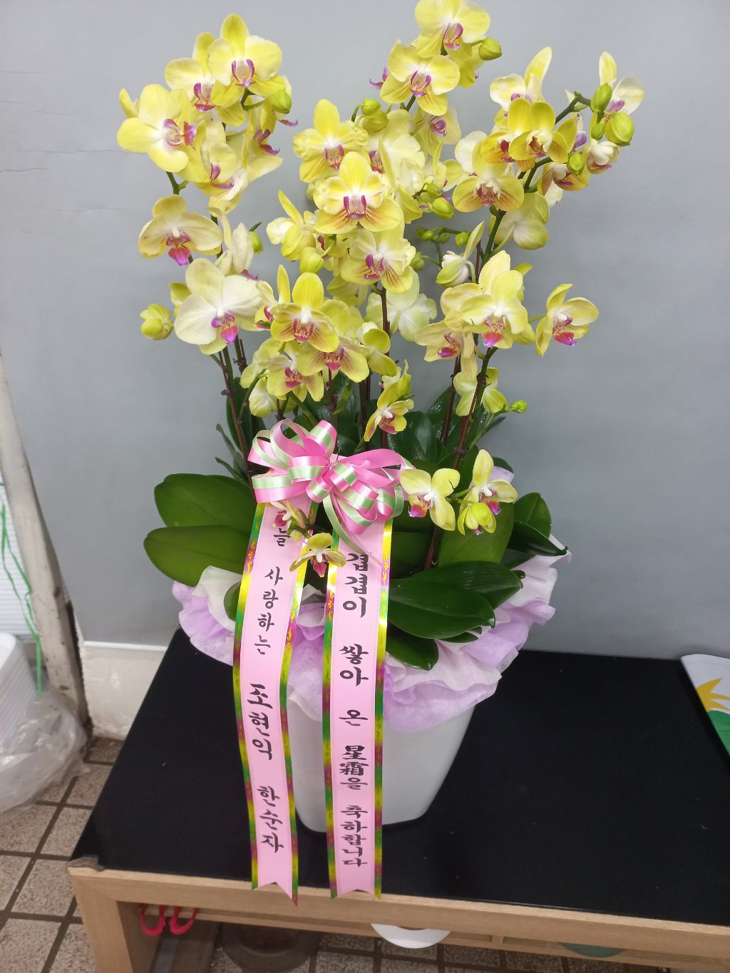 흥국운수 이미지