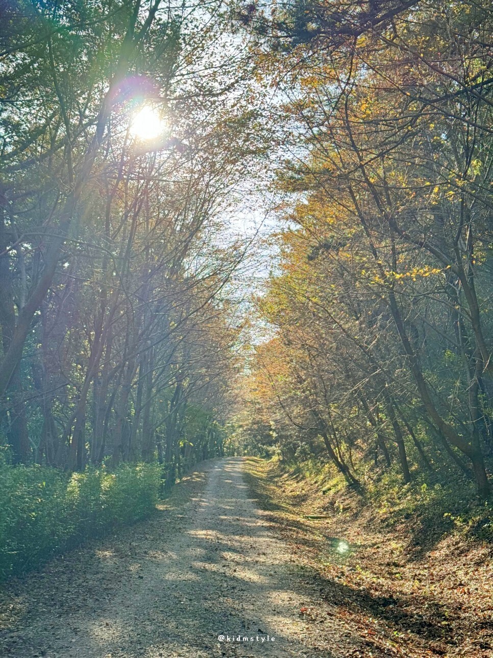 드림로드 이미지