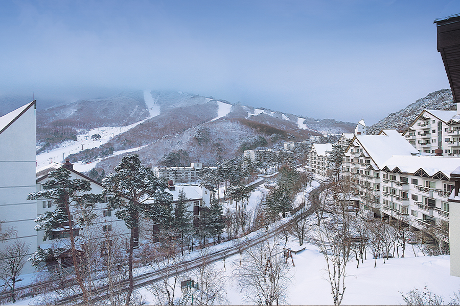 주식회사 가바소 이미지