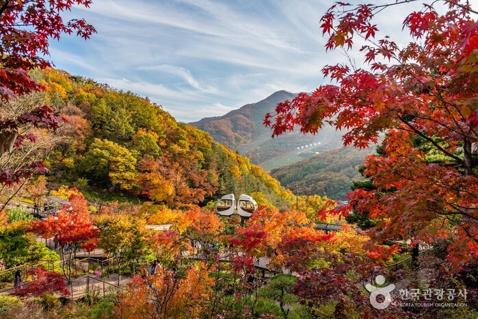 주식회사 가바소 이미지