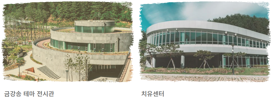 힐링투어여행 이미지