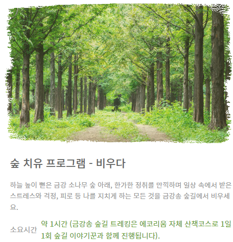 힐링투어여행 이미지
