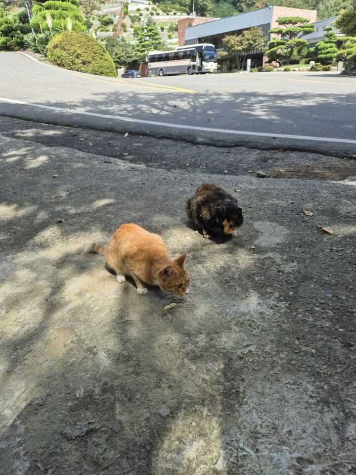 우정식품 이미지