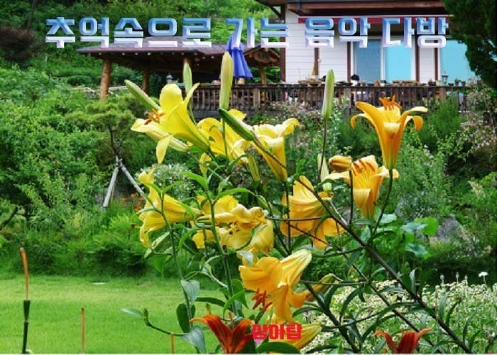추억속으로 이미지