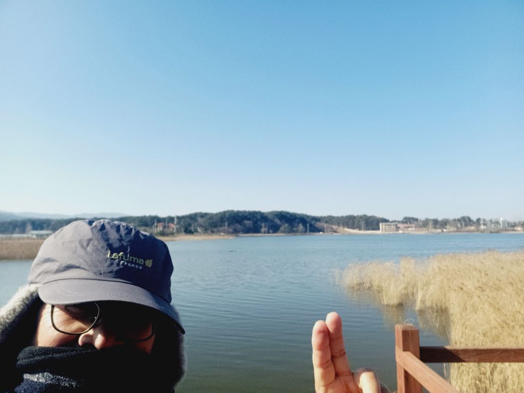 고고씽 이미지