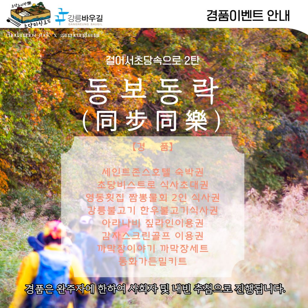 김수정 머리나라 이미지