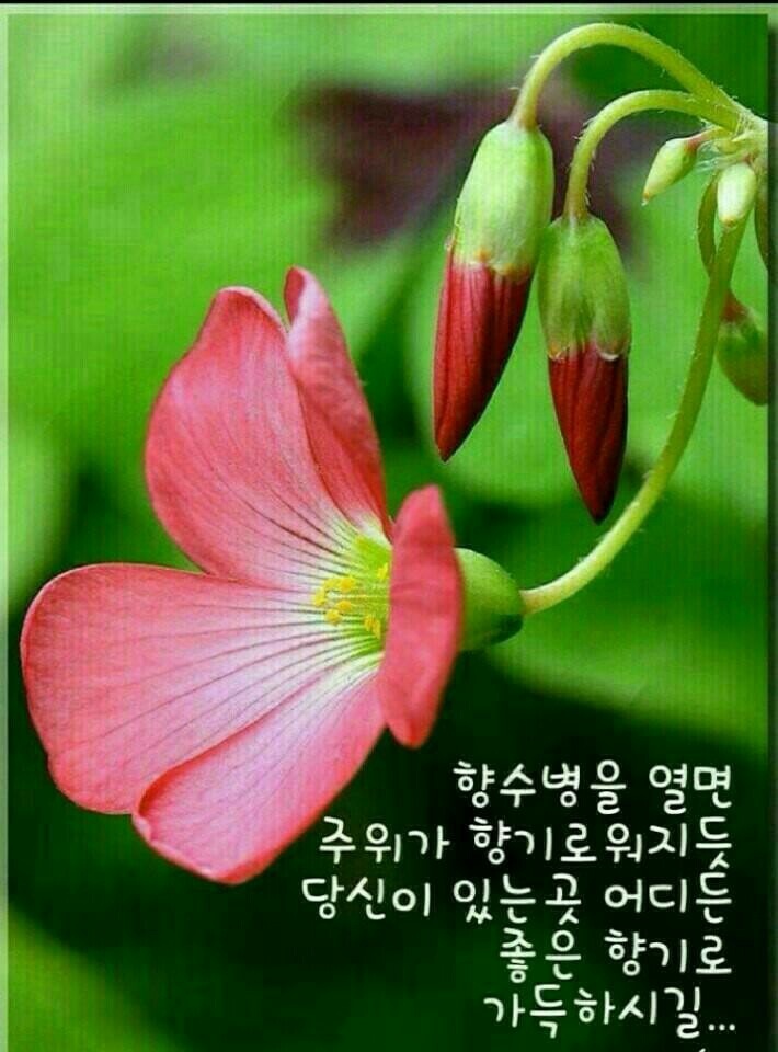 올림복권 이미지