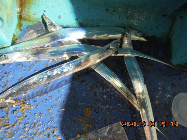 6eedc44093d72faddae6514b86b16e649ca31123