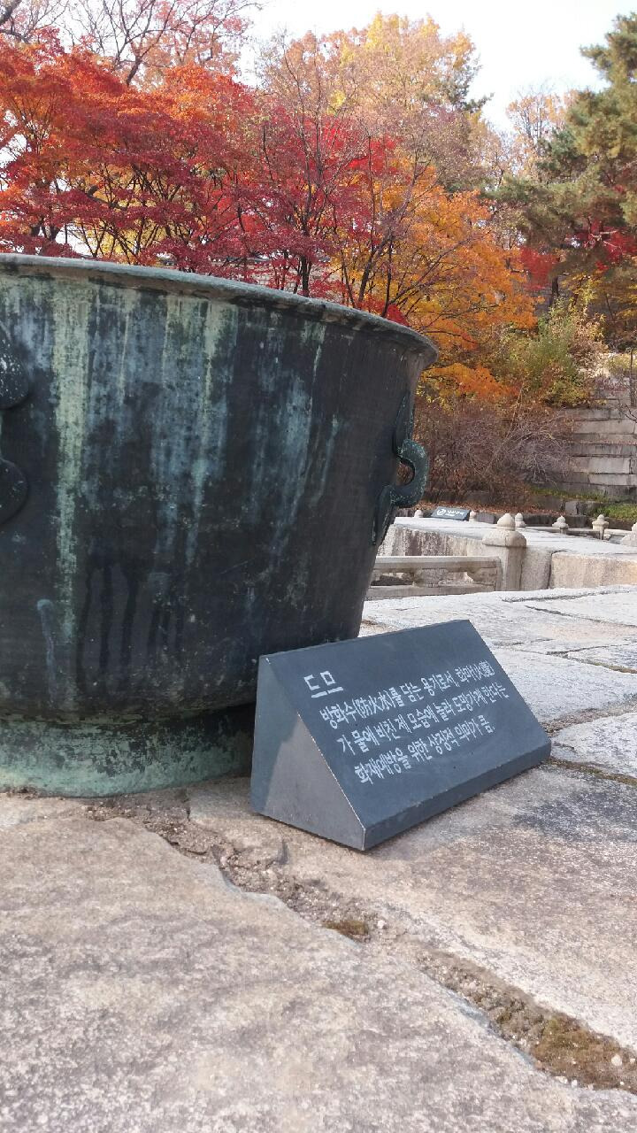 드므요 이미지