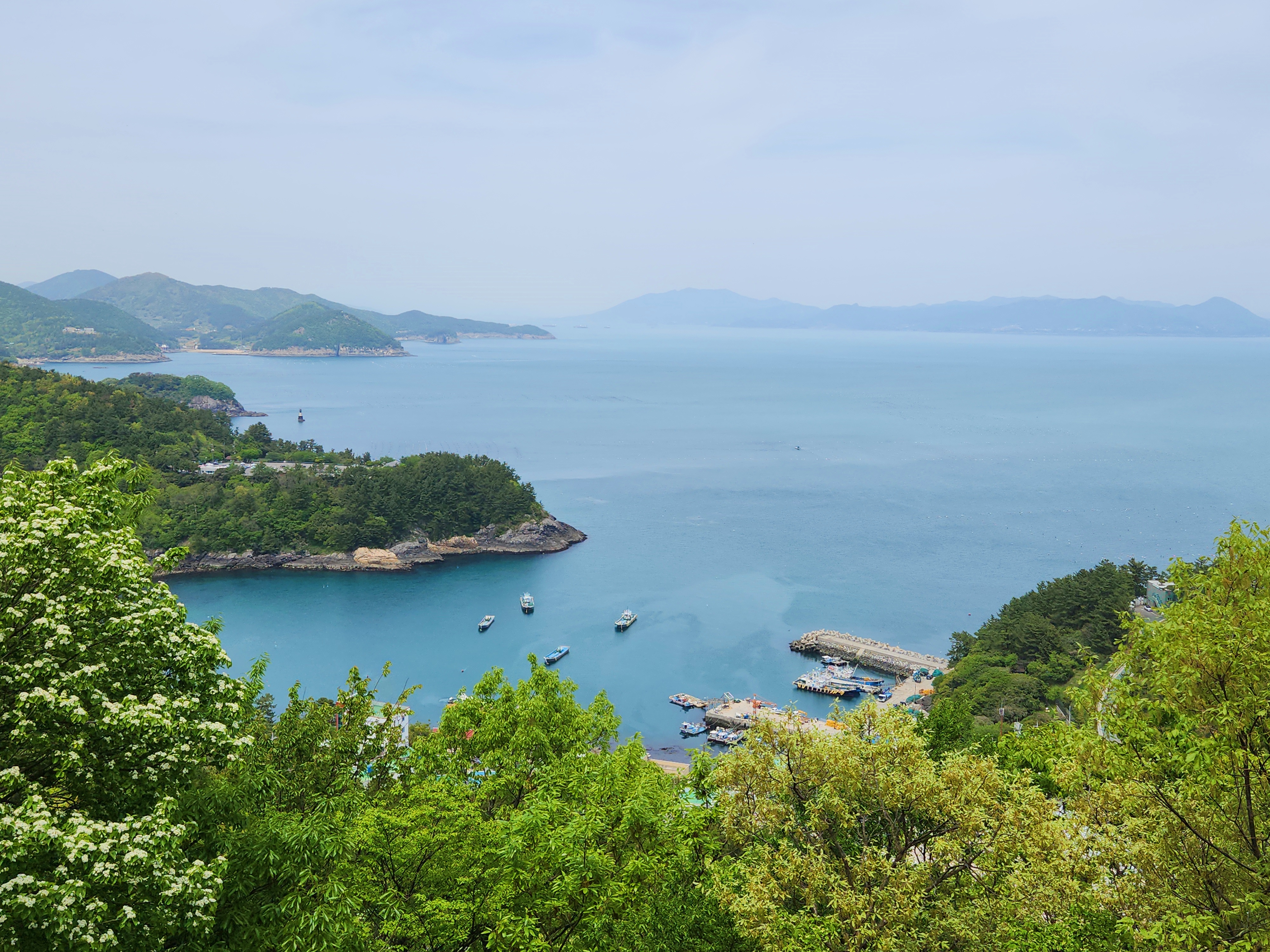 오동도 이미지