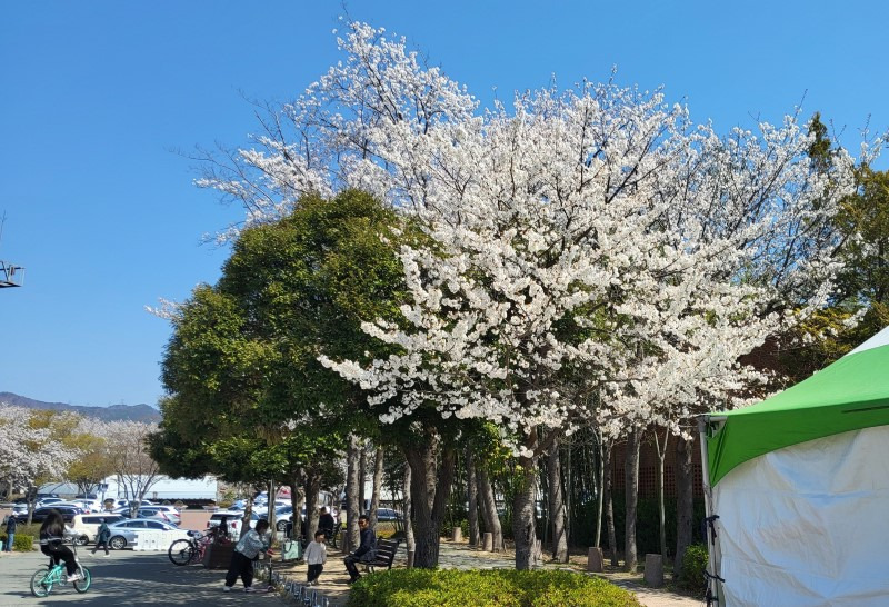 스포원 이미지