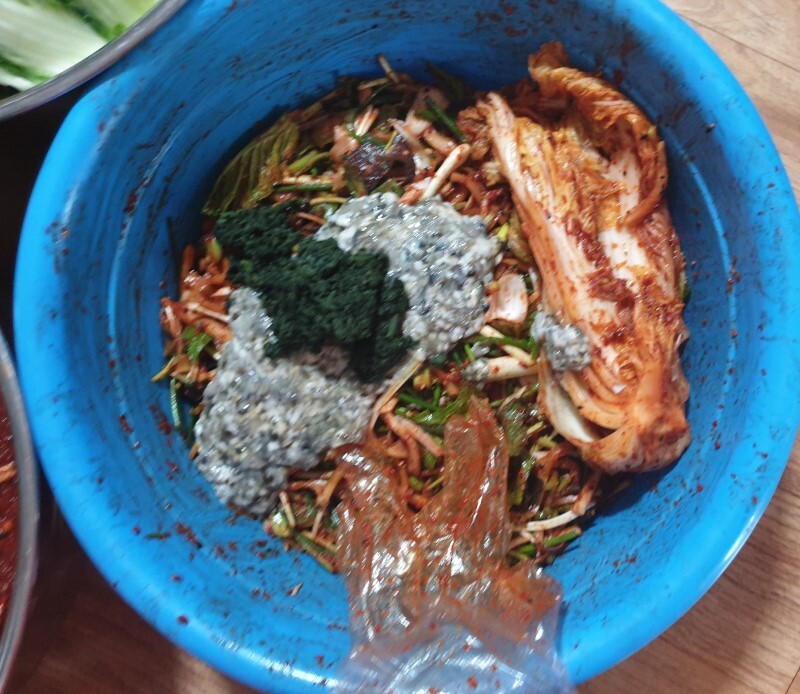 지혜로움 이미지