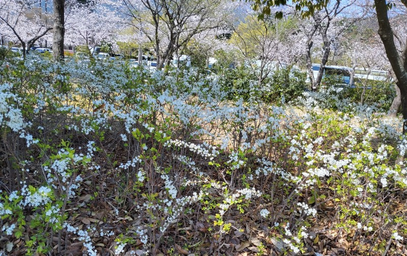 스포원 이미지