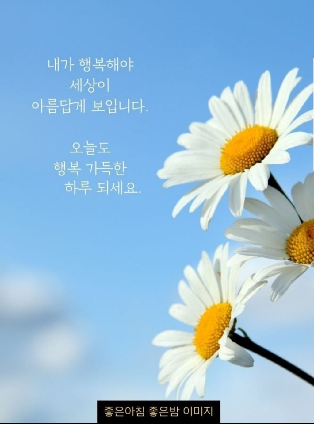 행복한 하루 이미지