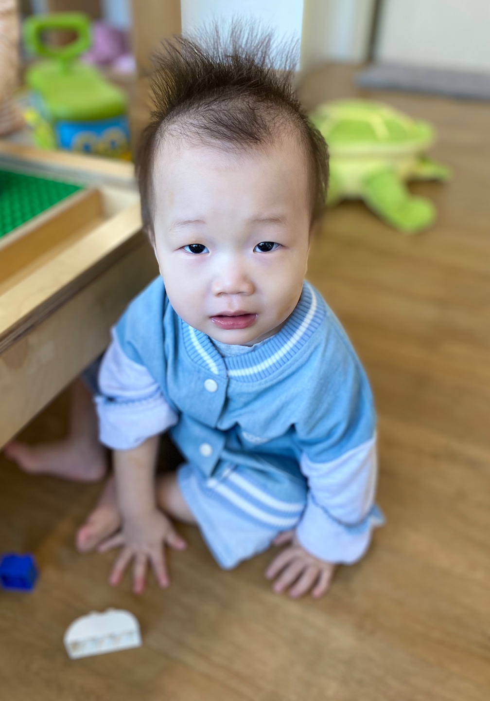 초록뜰 이미지